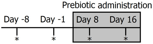 Timeline of experimental design and sampling for 16S bacterial profiling (marked with *).