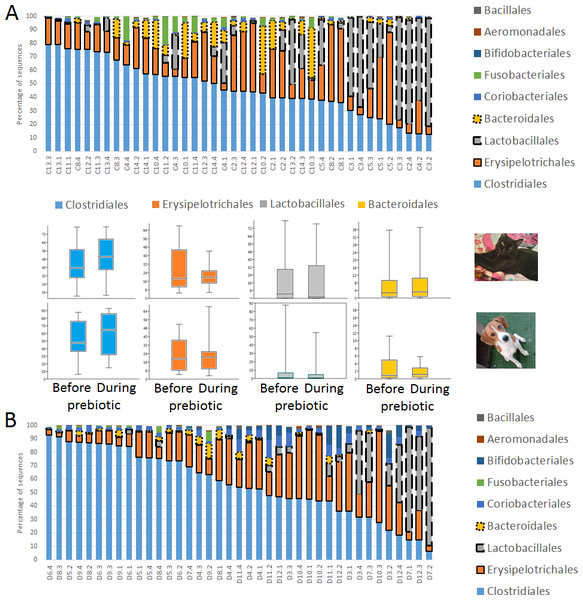 Relative abundance of bacterial groups at the order level in trial 1.