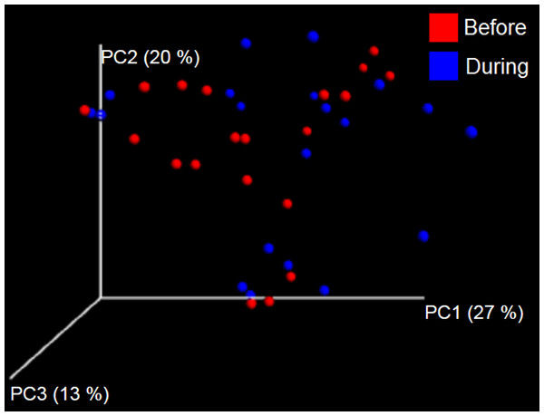 Principal Coordinate Analysis (PCoA) plot.