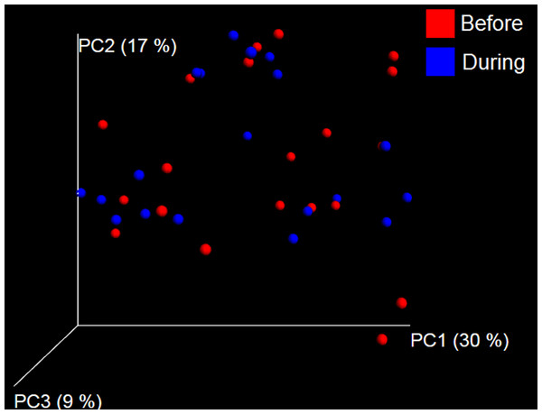 Principal Coordinate Analysis (PCoA) plot.