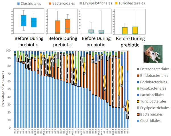 Relative abundance of bacterial groups at the order level in trial 2.