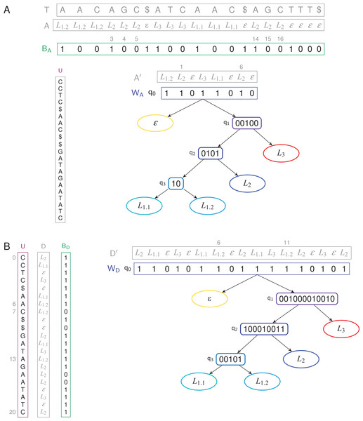 TL- and TLBW-indexes store a text of length 21 with four unique labels.