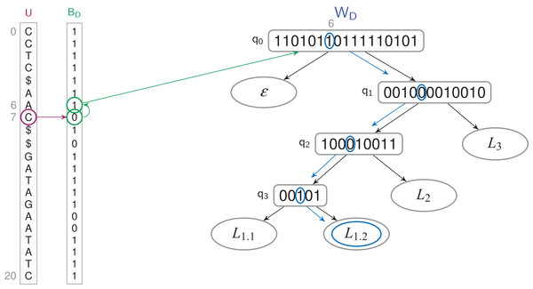 Finding the label of a letter in a TLBW-index.