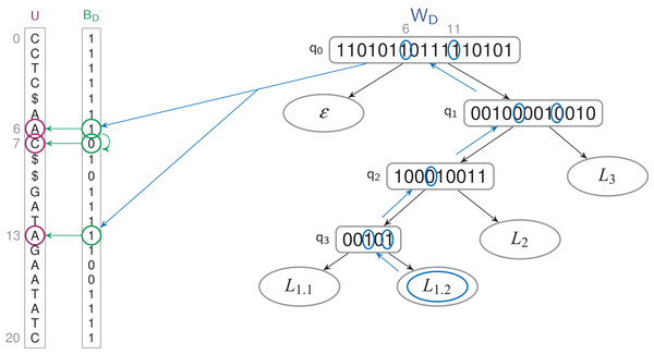 Finding the letters which have a L1.2 label in a TLBW-index.