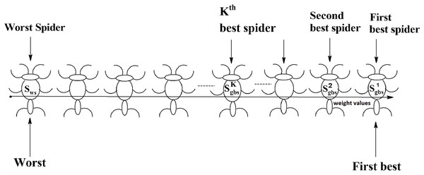 Spiders on the scale of weight values.