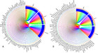 Epitope-based chimeric peptide vaccine design against S, M and E ...