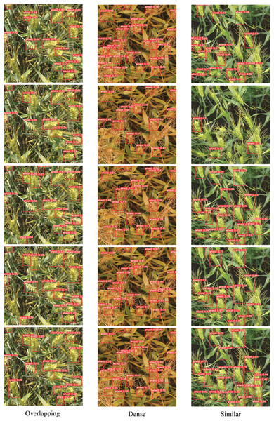 Comparison of the effects of different modules on wheat ear detection.