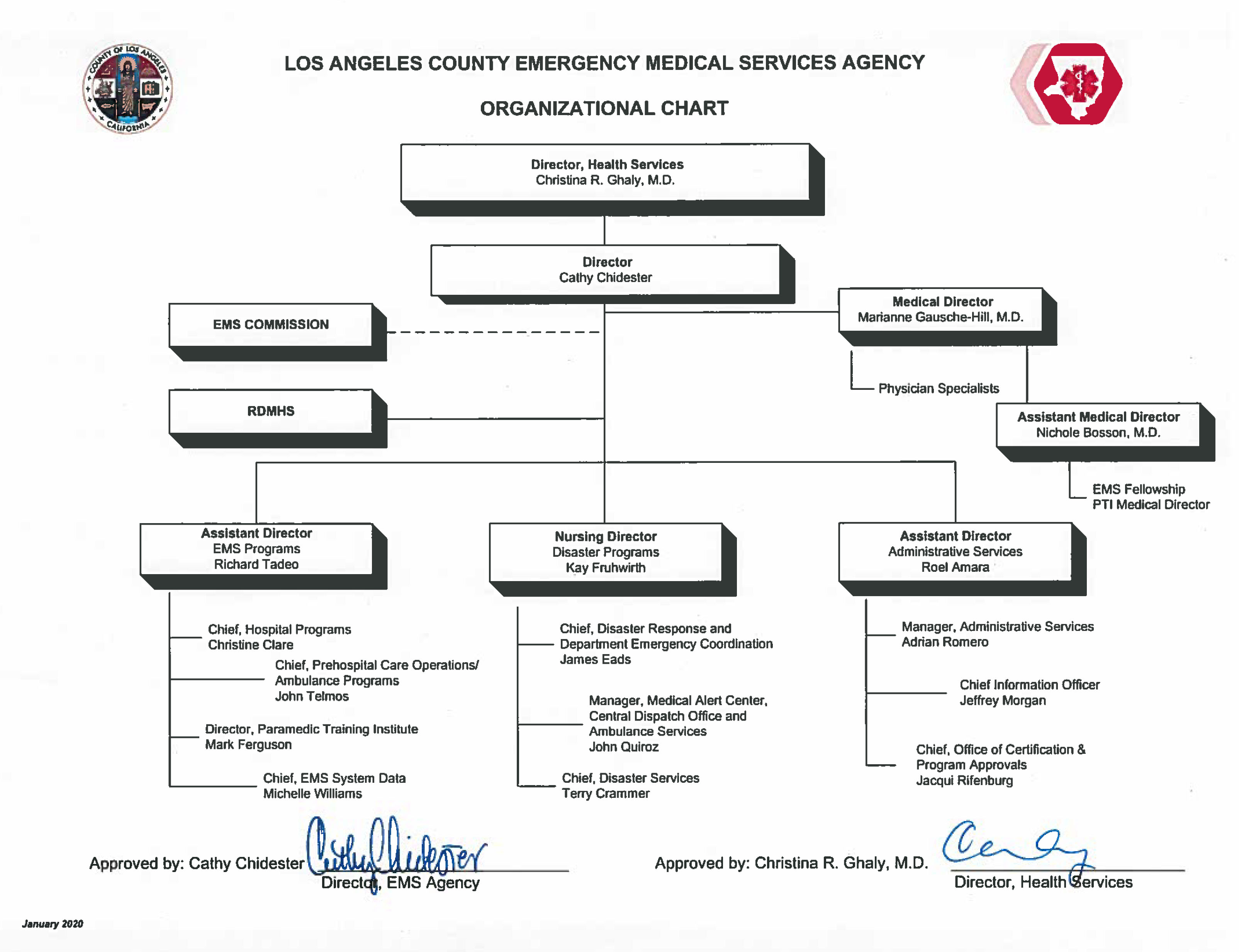 Texas DSHS Organizational Chart