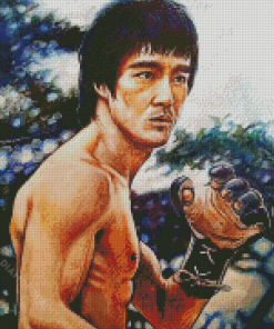 Enter The Dragon Character Diamond Painting