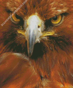 Golden Eagle Close Up Diamond Painting