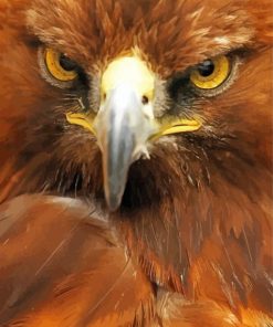 Golden Eagle Close Up Diamond Painting