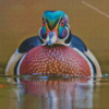 North American Wood Duck Diamond Paintings