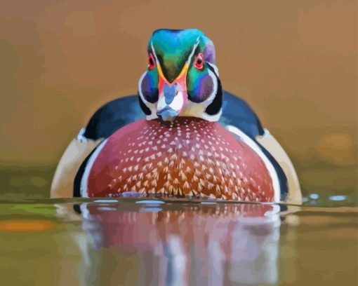 North American Wood Duck Diamond Painting