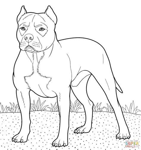 invadir Norteamérica congelador como dibujar un perro pitbull realista ...