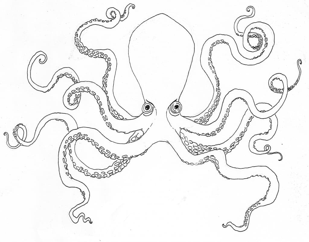 Dibujos de Pulpo Gigante para Colorear para Colorear, Pintar e Imprimir ...