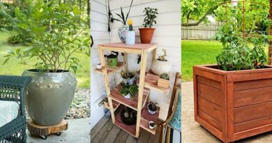 Best 12 DIY Movable Plant Stand Ideas | Rolling Plant Stands