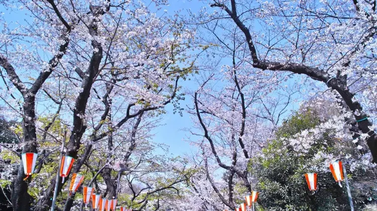 Ueno Station Attractions