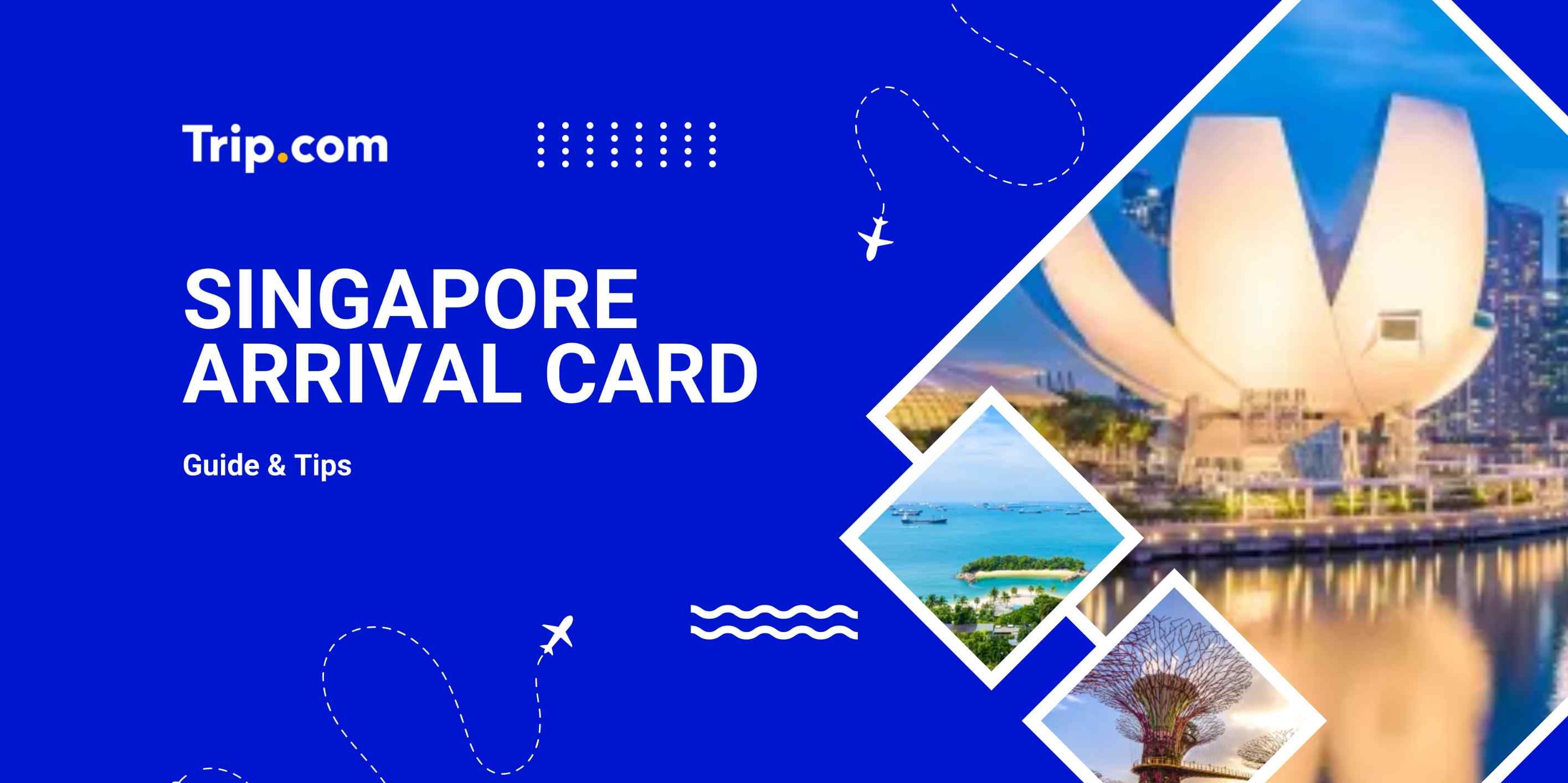 Singapore Arrival Card