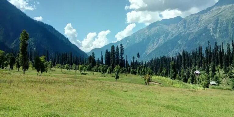 Best Time to Visit in Kashmir