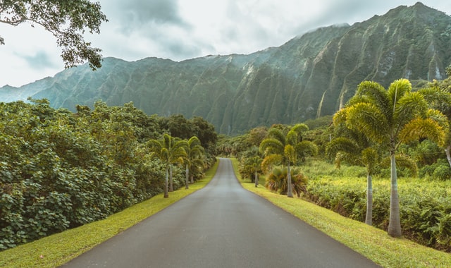 A Must-Read Guide for Traveling to Hawaii This Summer!