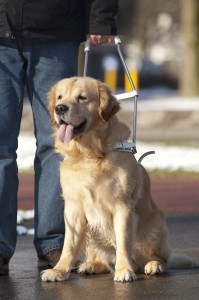 blind or visually impaired person with mobility