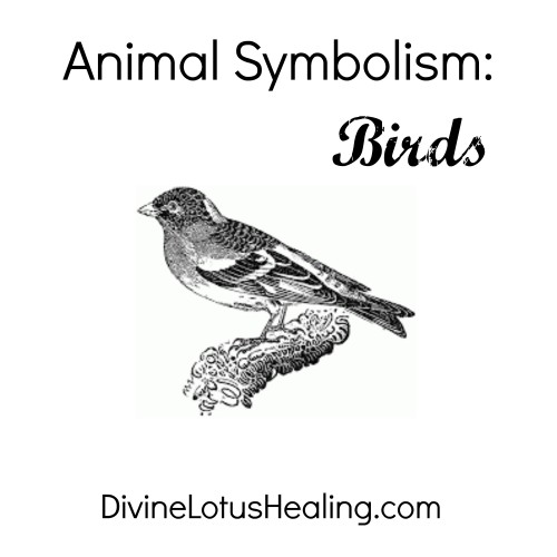 Animal Symbolism of Birds – Divine Lotus Healing