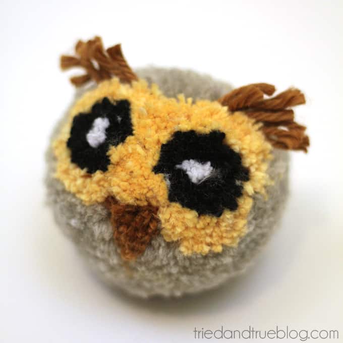 Finished owl pom pom