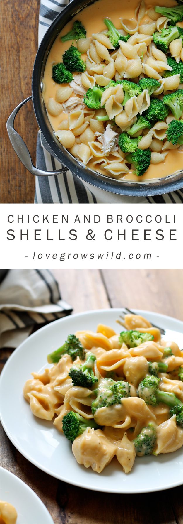  Easy Dinner Recipes for Kids and Family - Chicken and Broccoli Shells and Cheese - Quick and Simple Dinner Recipe Ideas for Weeknight and Last Minute Supper - Chicken, Ground Beef, Fish, Pasta, Healthy Salads, Low Fat and Vegetarian Dishes #easyrecipes #dinnerideas #recipes