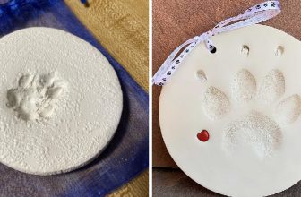 How to Preserve Clay Paw Print