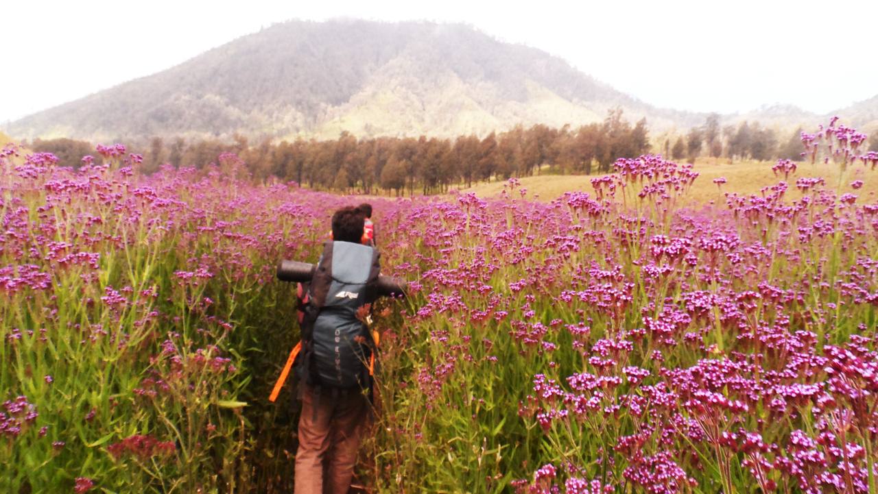 Pesona Indonesia ( Wisata Kawasan Taman Nasional Bromo Tengger Semeru) 