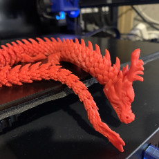 Picture of print of Articulated Dragon