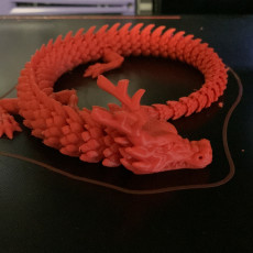 Picture of print of Articulated Dragon