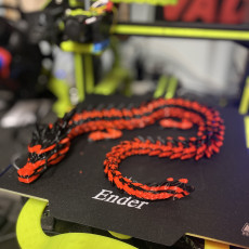 Picture of print of Articulated Dragon