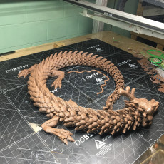 Picture of print of Articulated Dragon