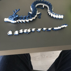 Picture of print of Articulated Dragon