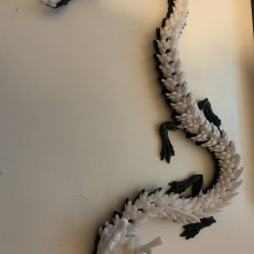 Picture of print of Articulated Dragon