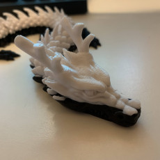 Picture of print of Articulated Dragon