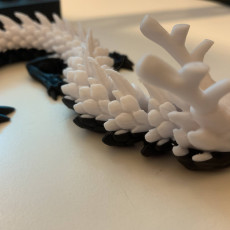 Picture of print of Articulated Dragon