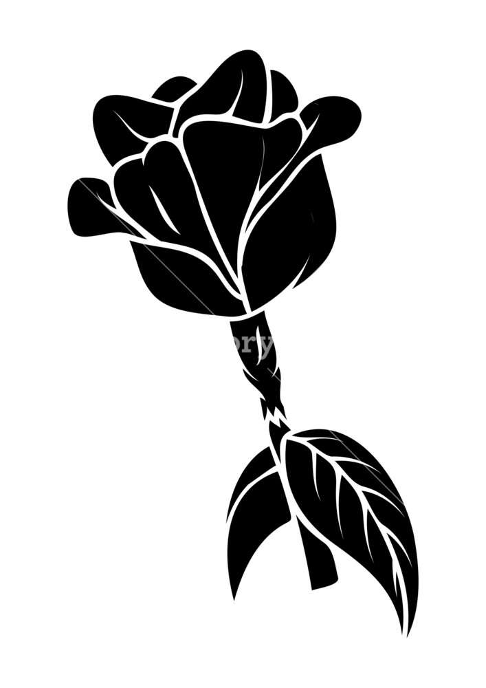 Rose Silhouette