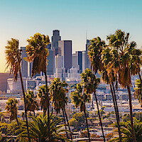 A scenic photograph of LA's city skyline and palm trees.