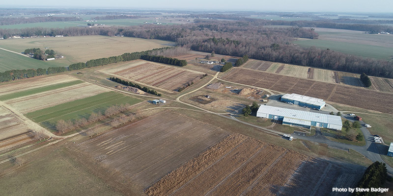 At Maryland’s State Nursery, Staff Grow Trees by the Millions