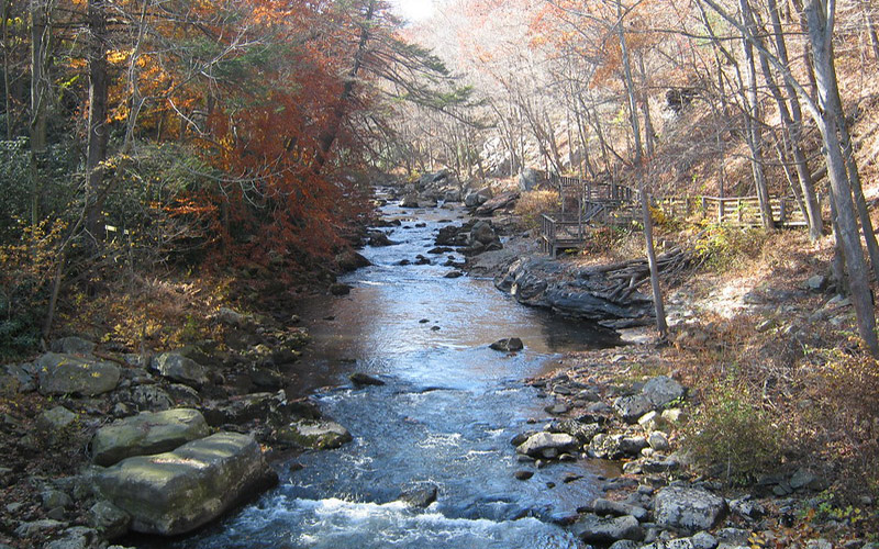 State Forest Trails Trek Deep Into Maryland’s Nature