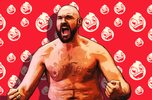 Tyson Fury Net Worth