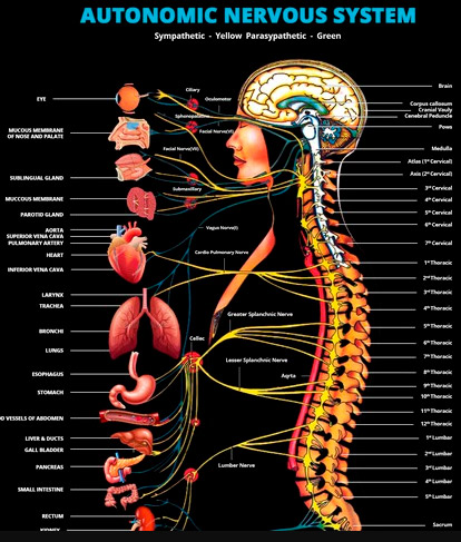 Chiropractic Care | Grace Family Chiropractic