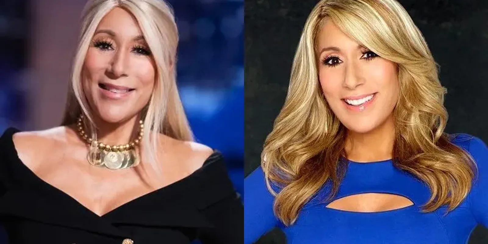 Lori Greiner Hair