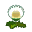 Dandelion Puffs NL Icon.png