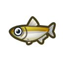 Pond Smelt NH Icon.png