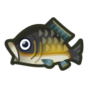 Carp NH Icon.png