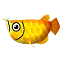 Arowana