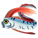 Oarfish